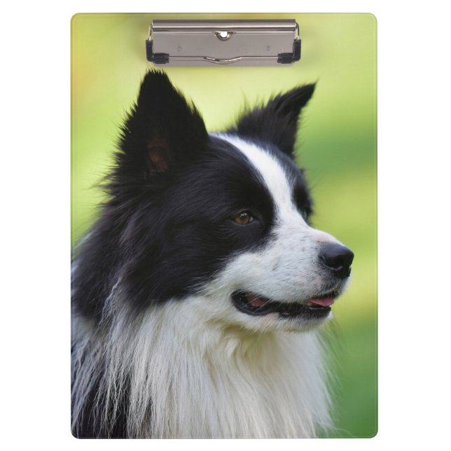 Black and White Border Collie Dog Clipboard (Front)