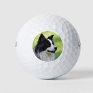Black and White Border Collie Dog Golf Balls
