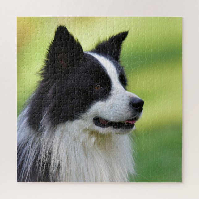 Black and White Border Collie Dog Jigsaw Puzzle (Vertical)