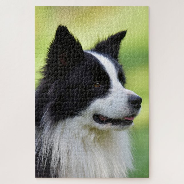 Black and White Border Collie Dog Jigsaw Puzzle (Vertical)