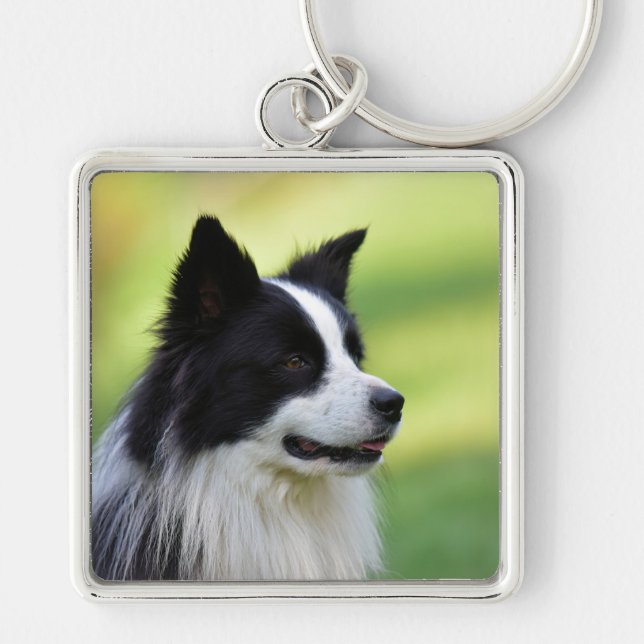 Black and White Border Collie Dog Keychain (Front)