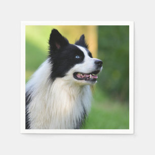 Black and White Border Collie Dog Napkin