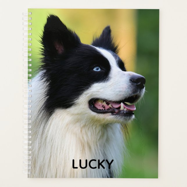 Black and White Border Collie Dog Planner (Front)