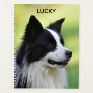 Black and White Border Collie Dog Planner