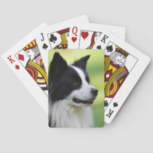 Black and White Border Collie Dog Playing Cards
