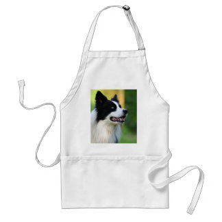 Black and White Border Collie Dog Standard Apron