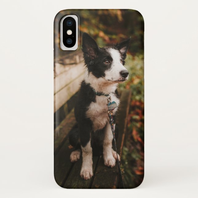Black and White Border Collie on Park Bench Case-Mate iPhone Case (Back)