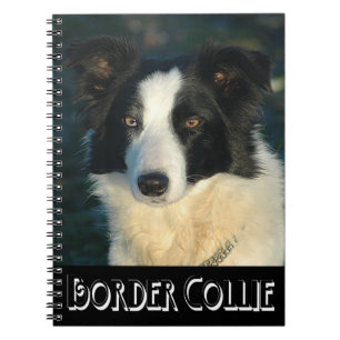 Black And White Border Collie Puppy Dog Journal