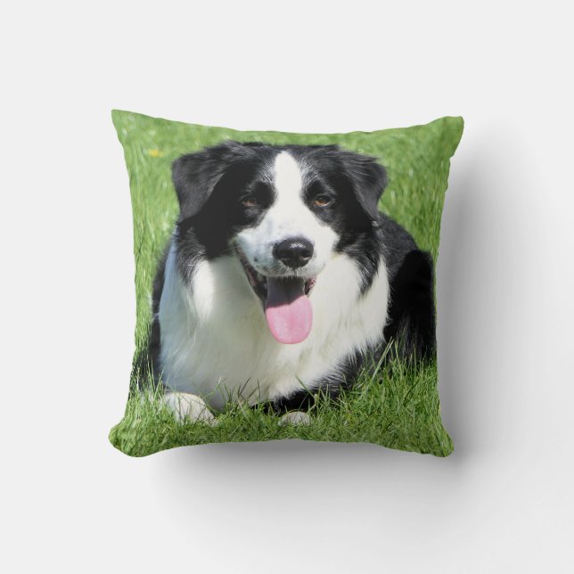 Black and White Border Collie Puppy Dog Throw Pillow (Front)