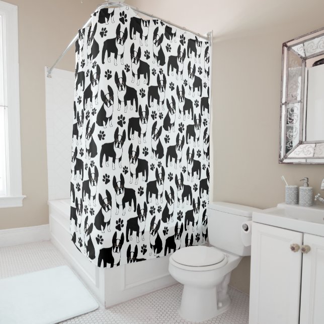 Black and White Boston Terrier (In Situ)