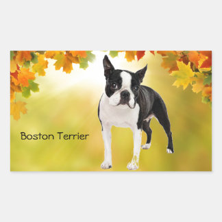 Black and White Boston Terrier Sticker