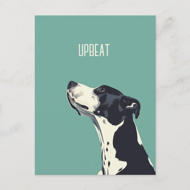 Black and White Boxer Postcard (Front)
