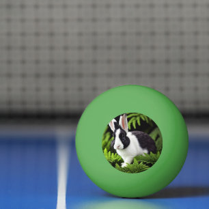 Black And White Bunny, Ping Pong Ball