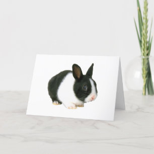 Black and White Bunny Rabbit Easter Card
