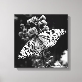 Black and White Butterfly Canvas Print