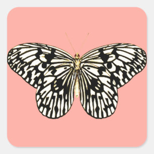 Black and white butterfly,coral pink background square sticker