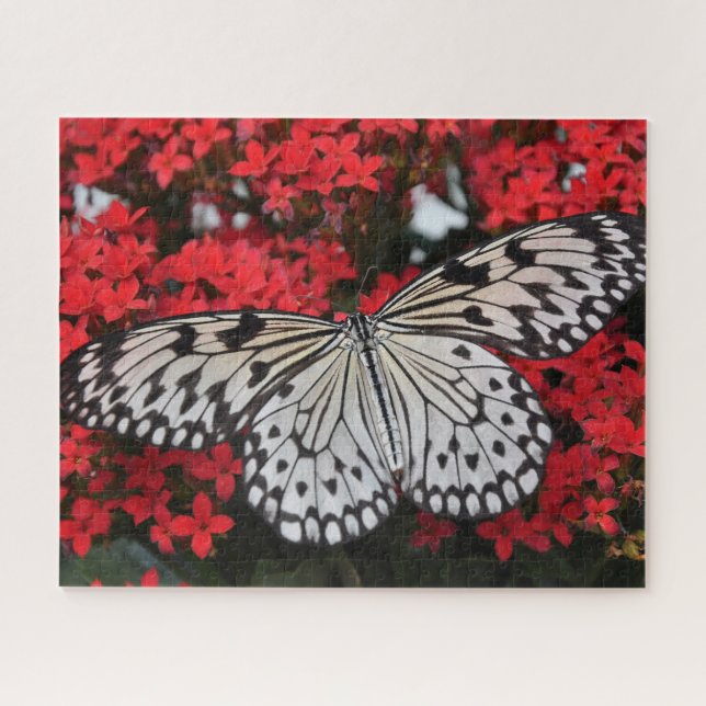 Black and White Butterfly in Red Flower Bush Jigsaw Puzzle (Horizontal)