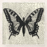 Black and White Butterfly on Cracked Background