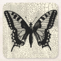 Black and White Butterfly on Cracked Background