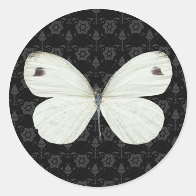 Black and White Butterfly Sticker (Front)