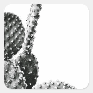 Black and White Cactus Black and White Square Sticker