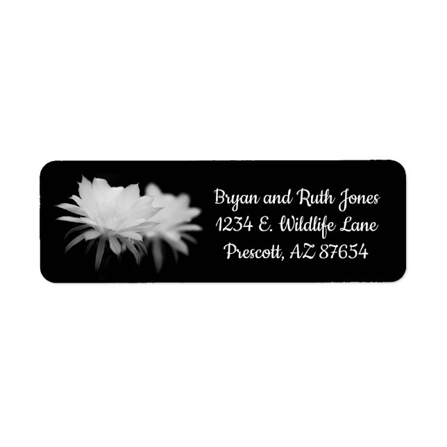 Black and White cactus flower (Front)