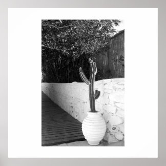 Black and white cactus poster art summer photo