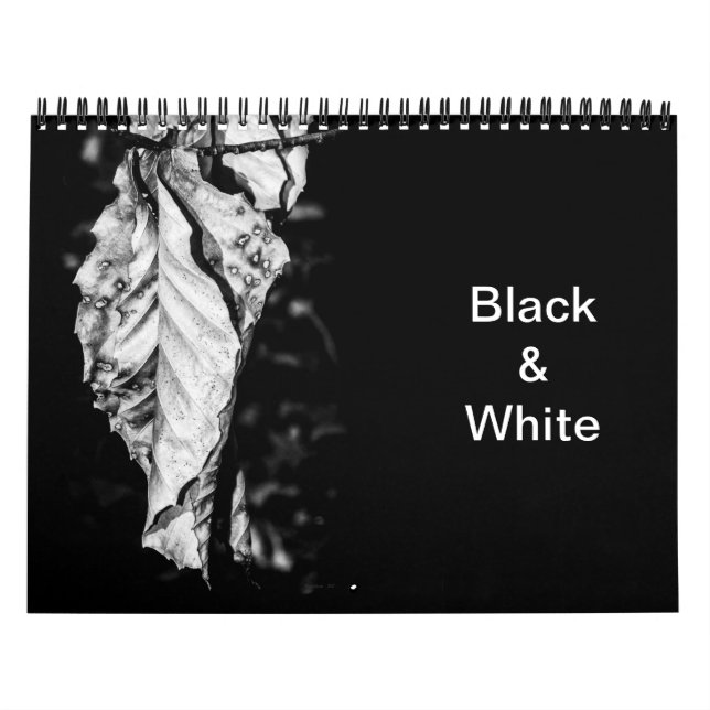 Black. and White Calendar (Cover)