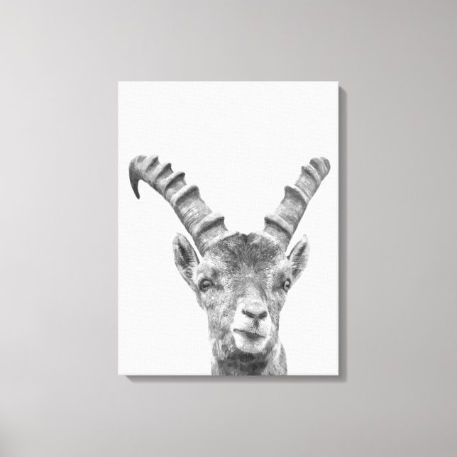 Black and white capricorn animal portrait canvas print (Front)