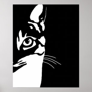 Black and White cat 657 Poster