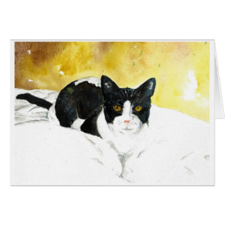 Black and white cat blank card