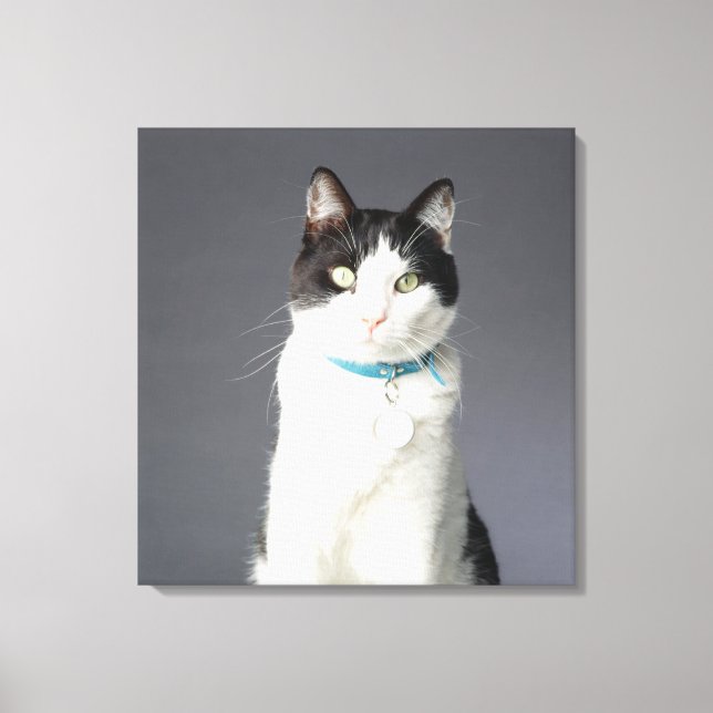 Black and white cat canvas print (Front)