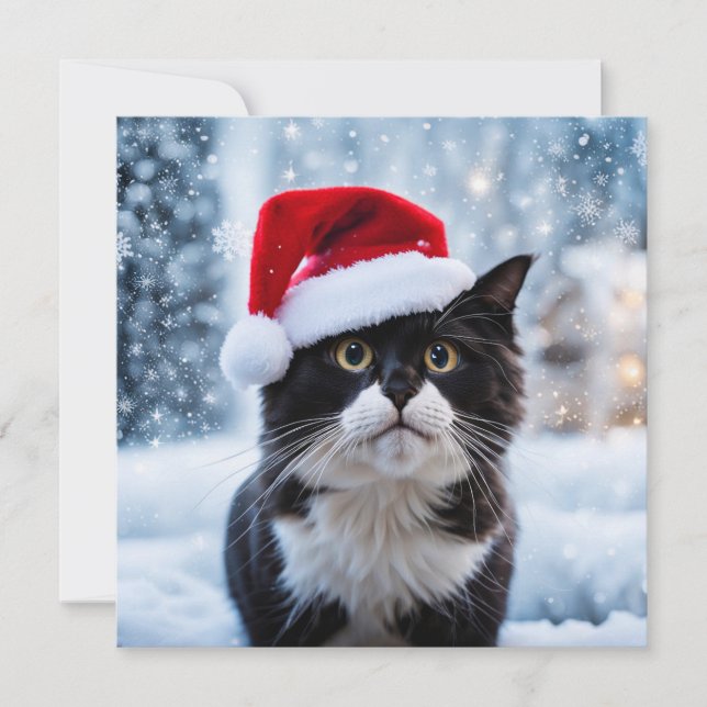 Black and white cat Christmas Holiday Card (Front)