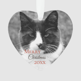 Black and White Cat Christmas Ornament