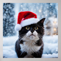 Black and white cat Christmas