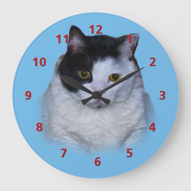 Black and White Cat, Customizable Clock (Front)