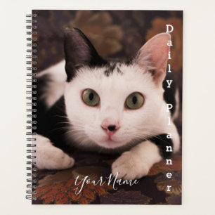 Black and White Cat - Daily Planner- HAMbWG Planner