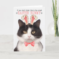 Black and White Cat in Bunny Ears for Easter