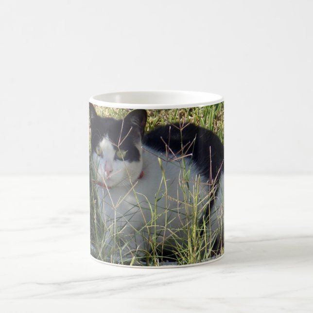 Black And White Cat In The Garden, Coffee Mug (Center)