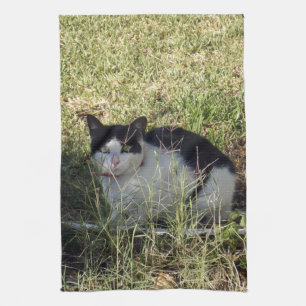 Black And White Cat In The Garden, Kitchen Towel