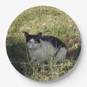 Black And White Cat In The Garden, Paper Plate