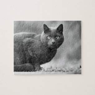 Black and white cat jigsaw puzzle