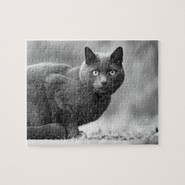 Black and white cat jigsaw puzzle (Horizontal)
