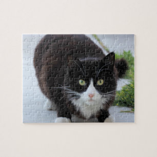 Black and white cat jigsaw puzzle