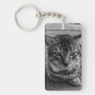 Black and White Cat Keychain