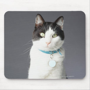 Black and white cat mouse pad