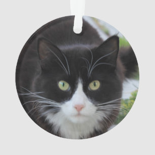 Black and white cat ornament