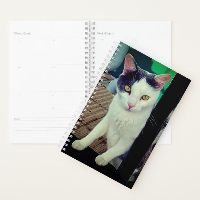 Black and white cat planner (Display)