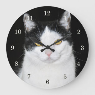 Black and White Cat Portrait Large Clock