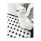 Black and White Cat Postcard